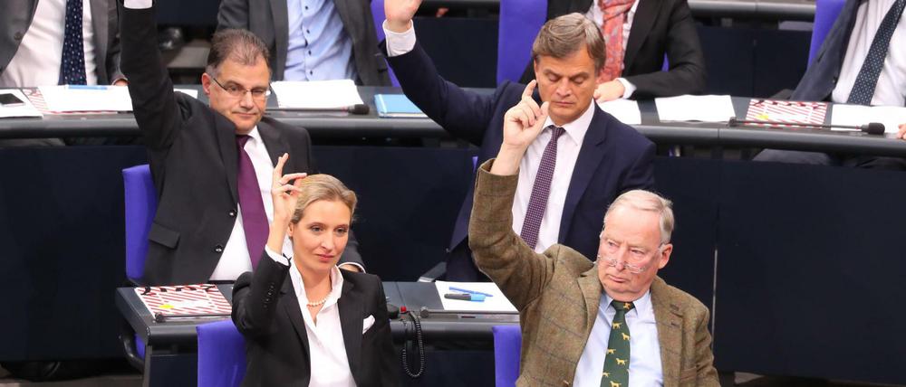 Die AfD-Fraktion im Bundestag - noch zu Vor-Corona-Zeiten.