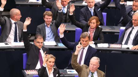 Die AfD-Abgeordneten bei der konstituierenden Sitzung des Bundestages 2017. 