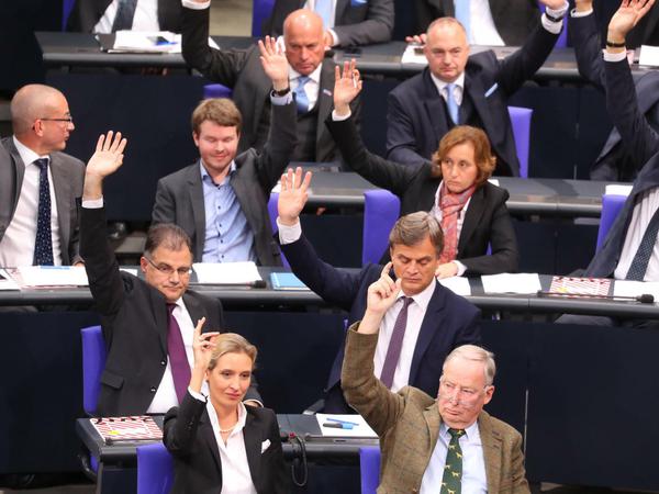 AfD-Fraktion im Bundestag: Partei der Dilettanten oder charismatisches Kollektiv?