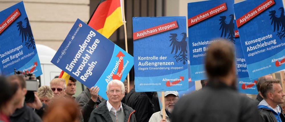 Anhänger der AfD vor dem Landtag in Potsdam (Archivbild) 