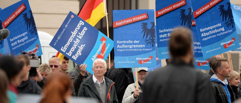 Anhänger der AfD demonstrieren in Potsdam. 