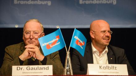 Und unter selber Flagge: Der AfD-Bundessprecher und Ehrenvorsitzender Alexander Gauland und der nun aus der Partei ausgeschlossene Brandenburger Landeschef Andreas Kalbitz bei einem Parteitag im Jahr 2018. 
