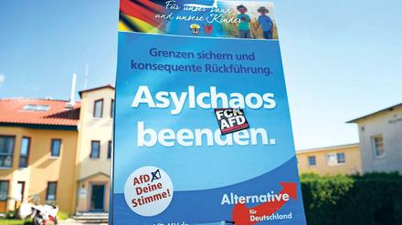 Ein Wahlplakat der AfD auf Usedom (Archivbild)