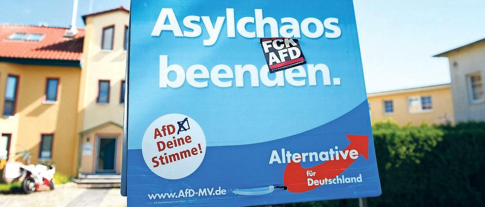 Ein Wahlplakat der AfD auf Usedom (Archivbild)