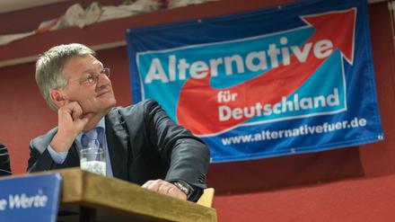 Jörg Meuthen, Spitzenkandidat der AfD in Baden-Württemberg, gilt in der rechtspopulistischen Partei als Gegengewicht zur Parteichefin Frauke Petry. 