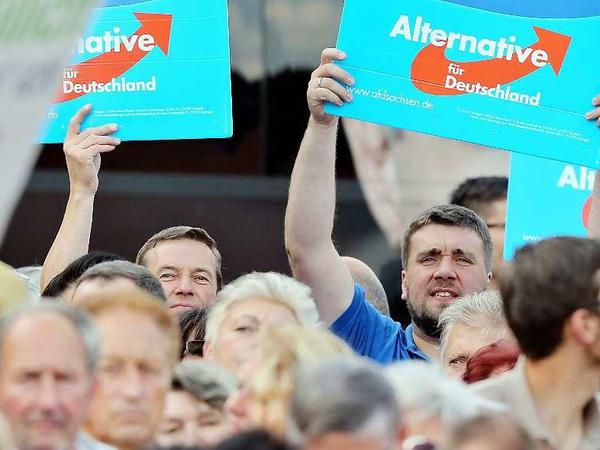 AfD Wahlkampf in Sachsen - populistische Chaostruppe?