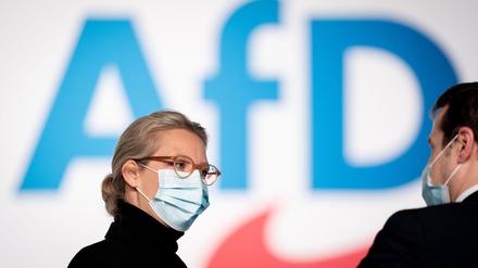 Fraktionsvorsitzende Alice Weidel beim AfD-Bundesparteitag