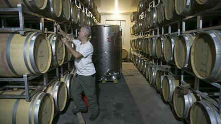 Produziert in den besetzten Gebieten: Auch dieser Wein, der nördlich von Ramallah angebaut wird, bekommt künftig eine besondere Kennzeichnung.