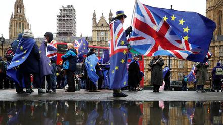 Brexit-Gegner demonstrieren gegenüber dem Parlament in London.