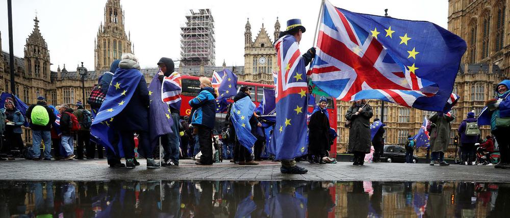 Brexit-Gegner demonstrieren gegenüber dem Parlament in London.