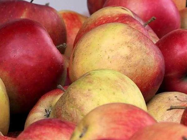 An apple a day - kommt künftig der Veggie Day?