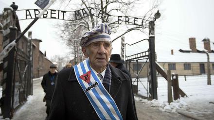 Ein Überlebender besucht am Dienstag das ehemalige Konzentrationslager Auschwitz zum Gedenken an die Befreiung durch die Rote Armee vor 70 Jahren.
