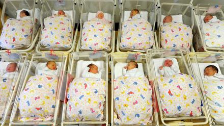 Insgesamt wurden im vergangenen Jahr in Deutschland 738.000 Kinder geboren.