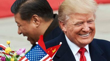 Chinas Präsident Xi Jinping (links) und sein US-Kollege Donald Trump zeigten sich zufrieden.