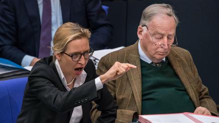 Alice Weidel und Alexander Gauland im Bundestag. 