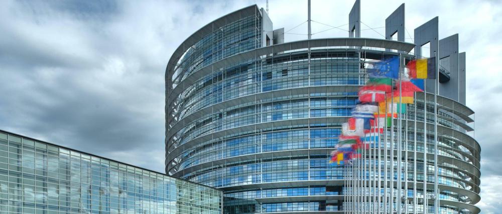 Die nächste Wahl zum Europaparlament in Straßburg findet im Frühjahr 2019 statt.  
