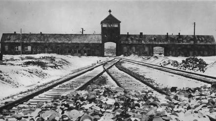 Mit einem solchen Motiv des Konzentrationslagers Auschwitz-Birkenau wirbt das Simon-Wiesenthal-Zentrum auf seinem neuen Plakat zur Operation Last Chance.