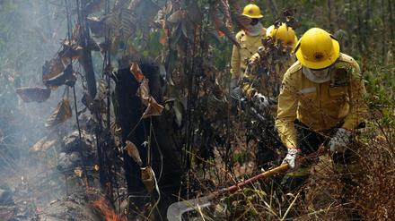 Feuerwehrleute im Einsatz bei den Waldbränden in Brasilien 
