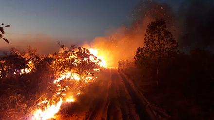 Der brennende Regenwald im Amazonas-Gebiet.