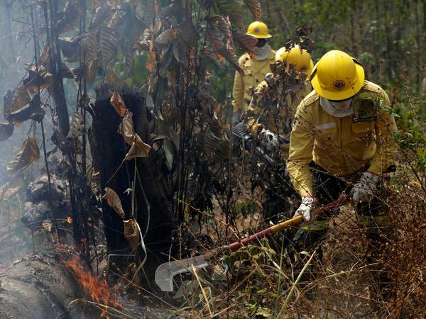 Feuerwehrleute sind bei den Waldbränden in der Nähe von Porto Velho im Einsatz.