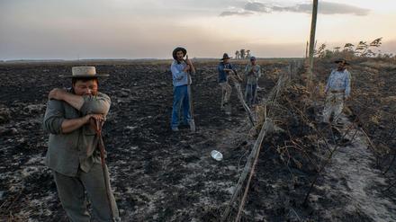 Arbeiter machen eine kurze Pause an einem verbrannten Feld. Der Gouverneur der Region bittet nun um Hilfe-