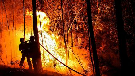 Frankreich, Bessèges am 7. Juli: Feuerwehrleute versuchen, einen Waldbrand zu löschen.
