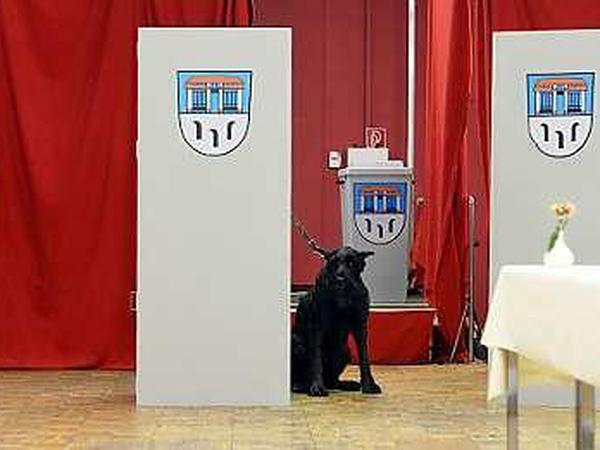 Die Wahlbeteiligung in Brandenburg ist eher niedrig.