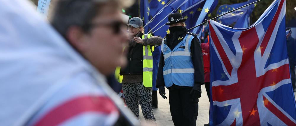 Brexit-Demonstranten vor dem Parlament in London.
