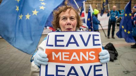Gegner des Brexits protestieren mit Flaggen der Europäischen Union und einem Schild mit der Aufschrift «leave means leave» («Verlassen heißt verlassen») vor dem Parlament.