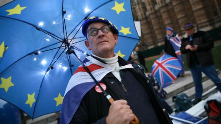 Ein Mann protestiert im Dezember 2018 vor dem Westminster Palace gegen den Bexit-Deal.