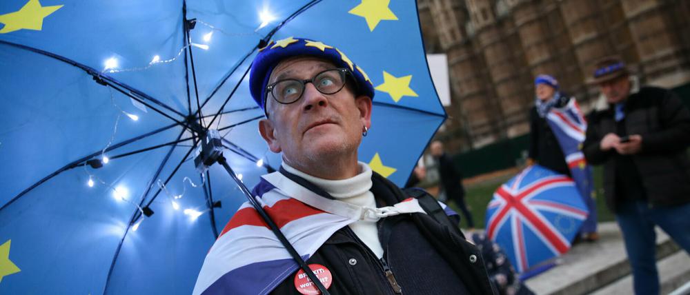 Ein Mann protestiert im Dezember 2018 vor dem Westminster Palace gegen den Bexit-Deal.
