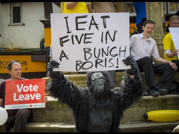 Ein Brexit-Gegner protestiert auf einer Veranstaltung des Brexit-Anführers Boris Johnson.