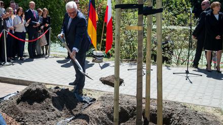 Bundespräsident Frank-Walter Steinmeier pflanzt beim Besuch der deutsch-polnischen-Gärten im Skaryszewski-Park eine Säulen-Hainbuche. 