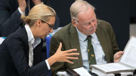 Alice Weidel und Alexander Gauland im Bundestag