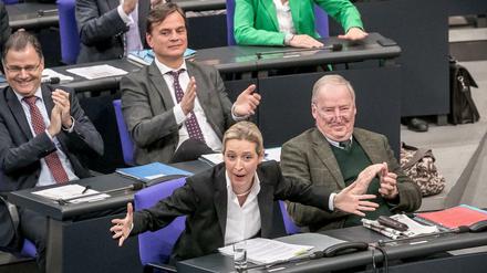 Die AfD im Bundestag.