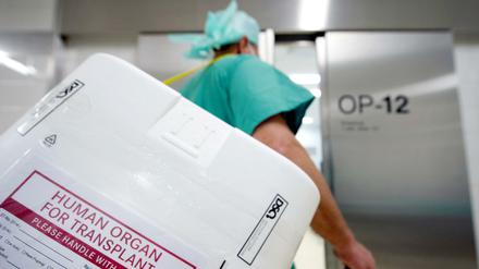 Ein Styropor-Behälter zum Transport von zur Transplantation vorgesehenen Organen wird zum OP gebracht.