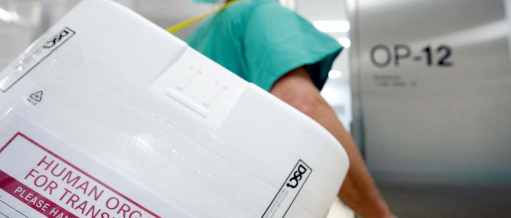 Ein Styropor-Behälter zum Transport von zur Transplantation vorgesehenen Organen wird zum OP gebracht.