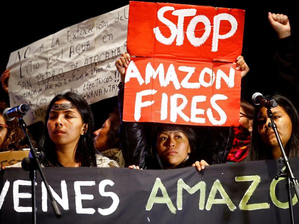 Protest gegen die Feuer am Amazonas. 