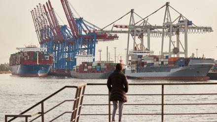Eine Frau steht am Altonaer Holzhafen und blickt auf die Elbe. Im Hintergrund sind Containerschiffe am Containerterminal Tollerort zu sehen.