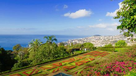 Madeira ist eines der Reiseziele, die Geimpfte und Genesene wieder ohne weitere Auflagen einreisen lassen.