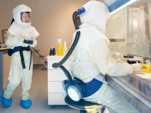 Im Helmholtz-Zentrum für Infektionsforschung in Braunschweig forschen Wissenschaftler mit Coronaviren. Sie haben Antikörper nachgewiesen, die das Virus am Eindringen in Zellen hindern könnten. 