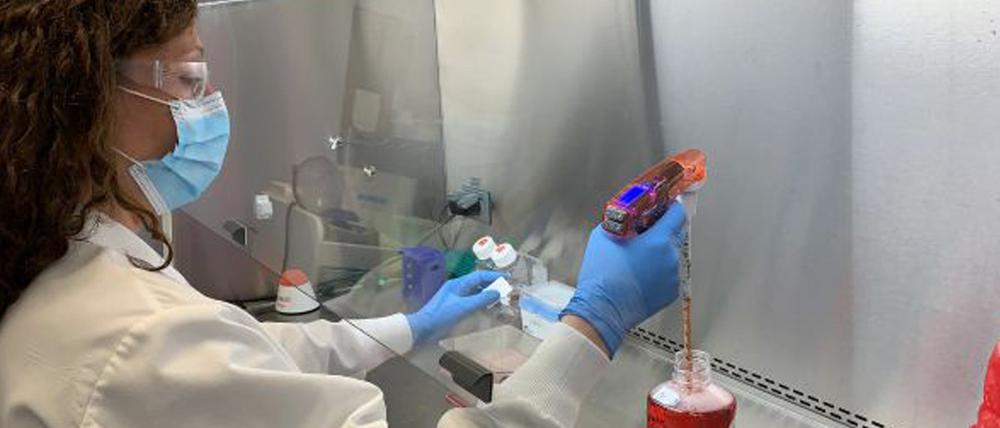 Eine Spezialistin arbeitet im Labor für Infektionskrankheiten der US-Firma Regeron an einer Zellkultur in einer mikrobiologischen Werkbank. Das Biotechnologie-Unternehmen stellt einen experimentellen Antikörper-Cocktail gegen Covid-19 her. 