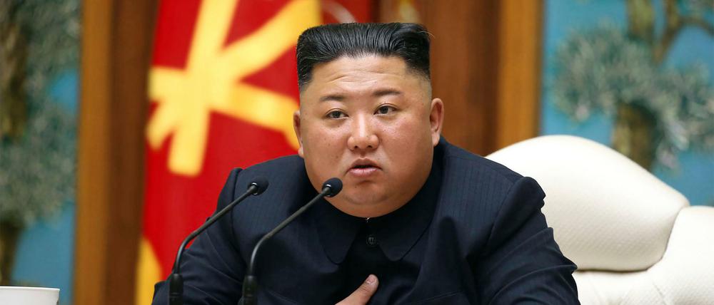Ist sein Gesundheitszustand kritisch? Nordkoreas Staatschef Kim Jong Un