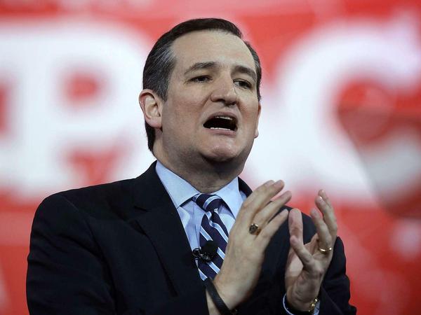 Strammkonservativer Tea-Party-Vertreter: Ted Cruz