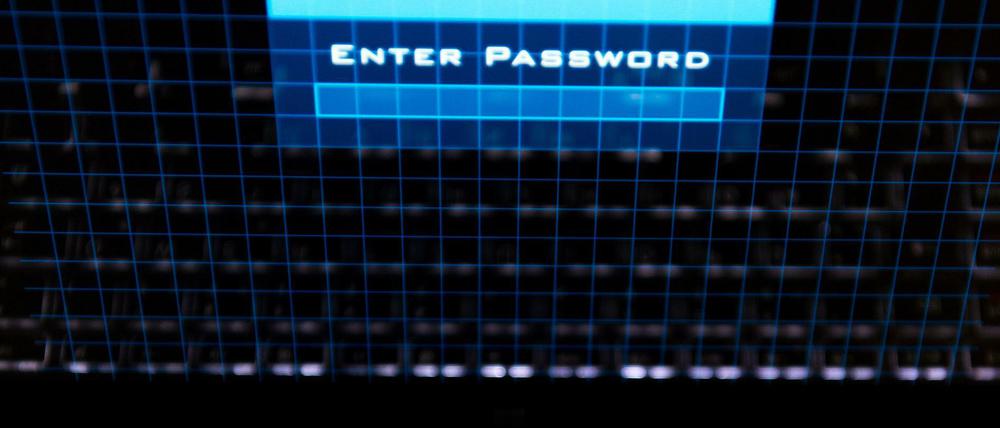 Auf dem Bildschirm erscheint der Schriftzug „Enter Password“. (Archivbild, 26.01.2017)