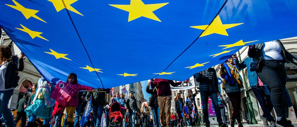 Eine Gruppe trägt während einer Demonstration im März 2019 eine große Flagge der EU.