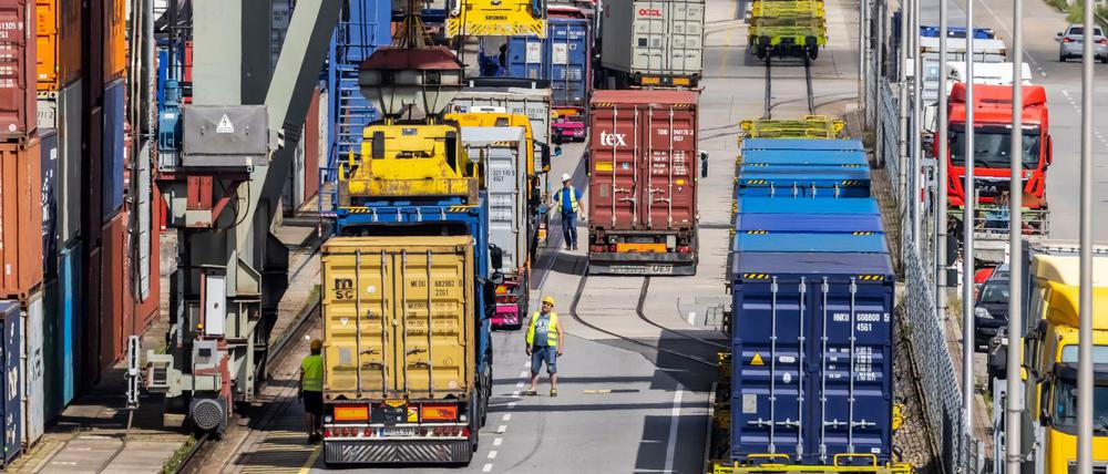 Die Globalisierung kann auch zu mehr Marktversagen führen. Hier der Containerterminal im Mannheimer Hafen. 