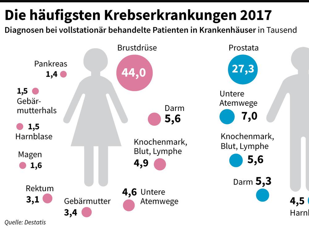 Zum Weltkrebstag: Krebsforschung: Hoffnung ist kein Wissen