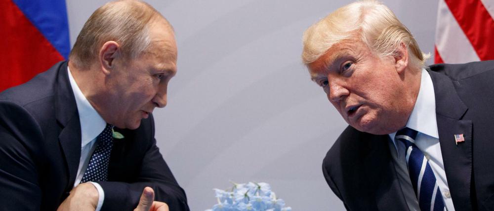 Der russische Präsident Wladimir Putin (l.) will sich nicht in die US-Wahl einmischen. Und fordert gleiches umgekehrt von Donald Trump.