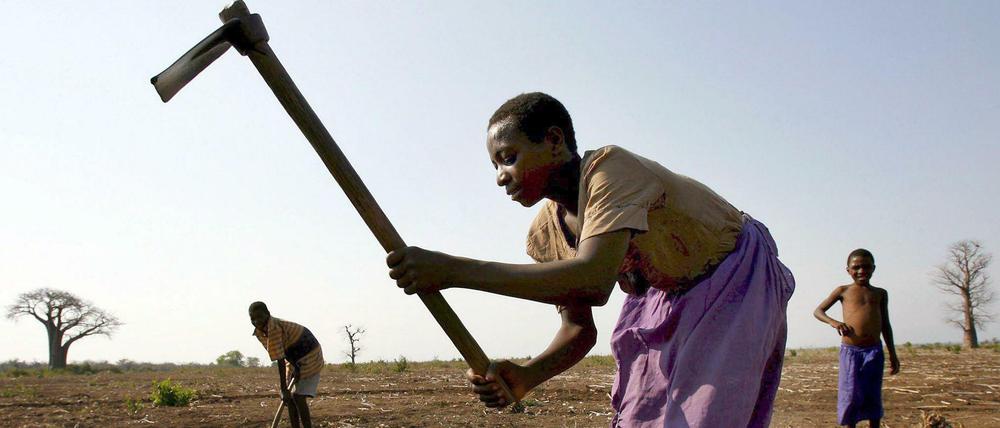 Bauern bei der Feldarbeit in Nsanje, Malawi. 